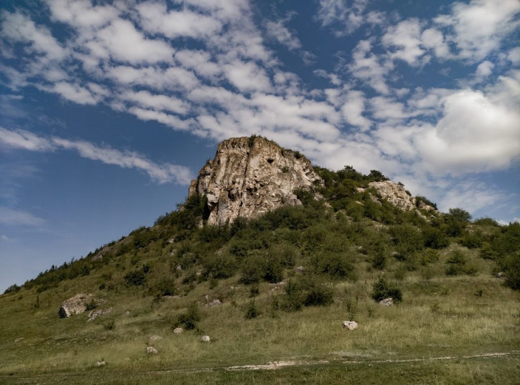 Rezervația Naturală Fetești 1 rezervatia naturala fetesti