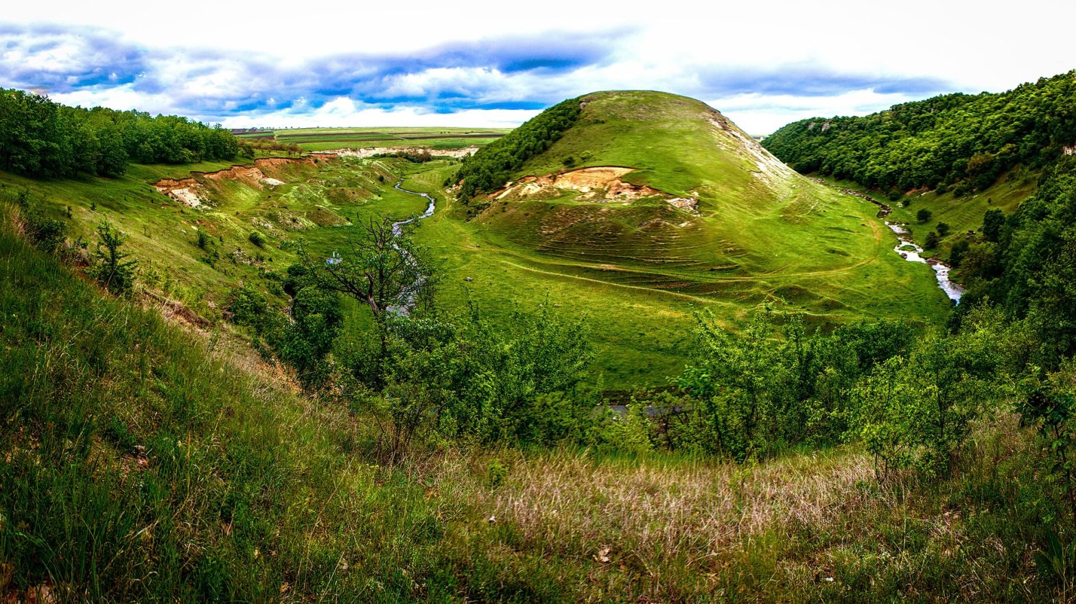 rezervatia naturala la castel